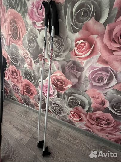 Лыжи беговые tisa universal