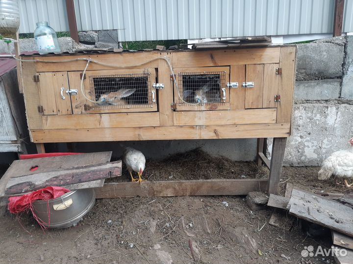 Клетка для кроликов