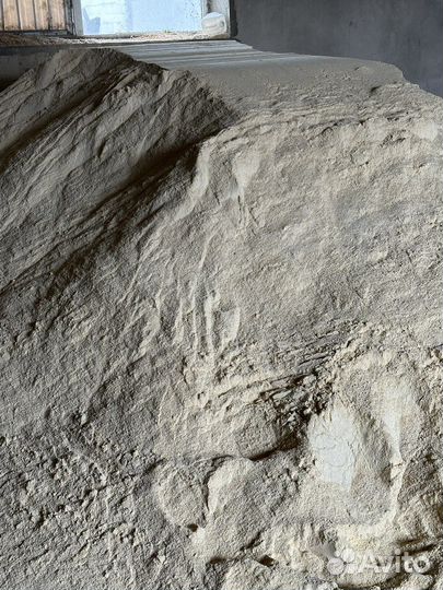 Корма для животных оптом