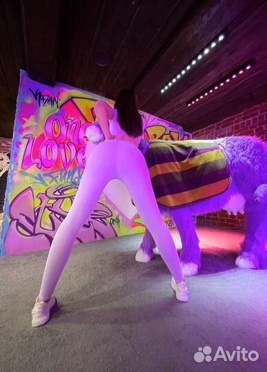 Спортивный костюм женский