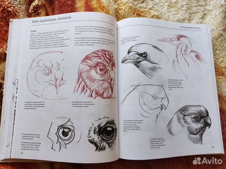 Книга,Основы техники рисунка