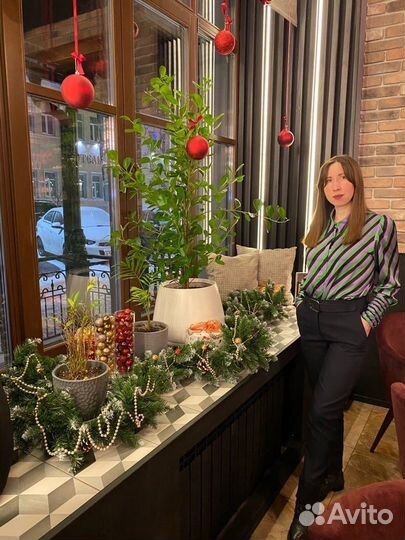 Репетитор по английскому языку