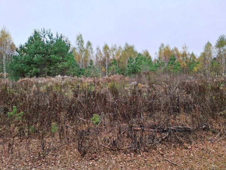 Участок 2,4 га (СНТ, ДНП)