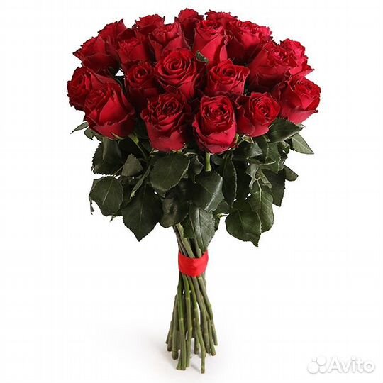 Букет из роз Красных Премиум 50 см (11-101)