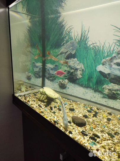 Украшение для аквариума