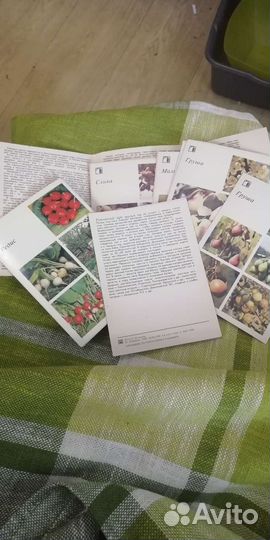 Набор открыток плодово-ягодных культур