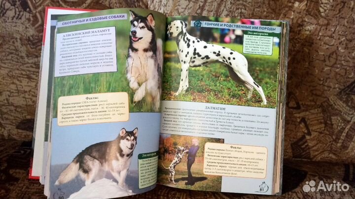 Книги разные