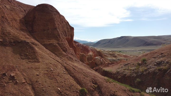 Велопутешествие Алтай. Спортивный заезд