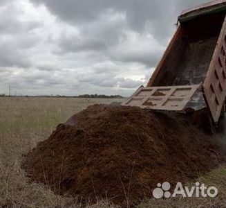Чернозем