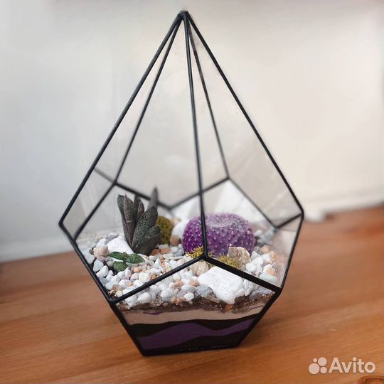 Флорариум с кактусом
