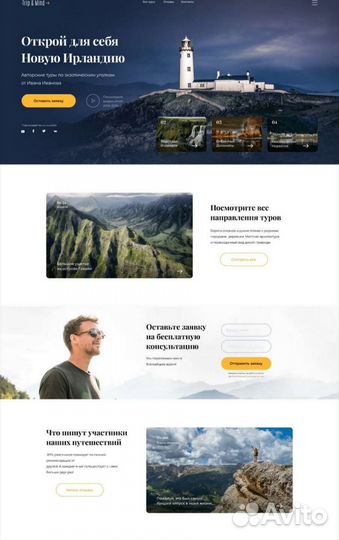 Веб дизайнер