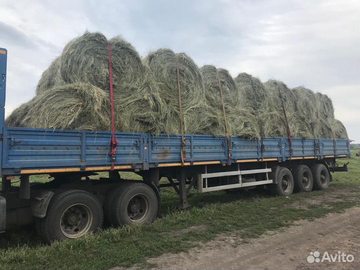 Сено в рулонах с доставкой