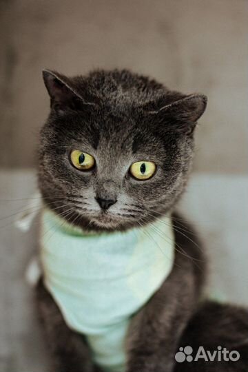 Через 7 дней ждет улица