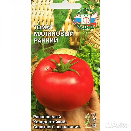 Томат Малиновый ранний