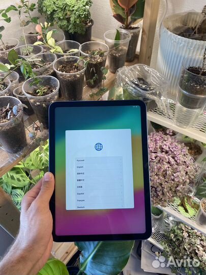 iPad 10.9 2022 64gb wi fi blue