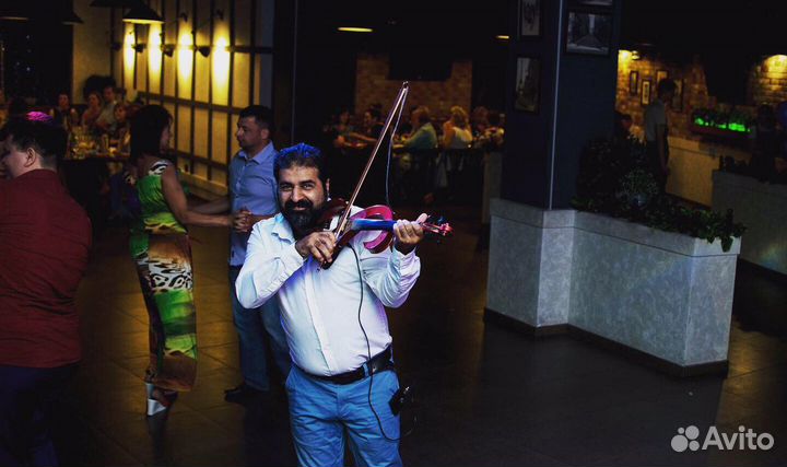 Скрипач/музыкант/живая музыка