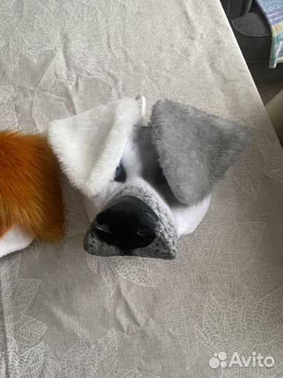 Квадробика маски собак