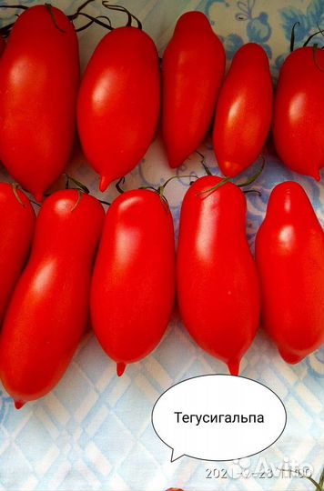 Семена томатов