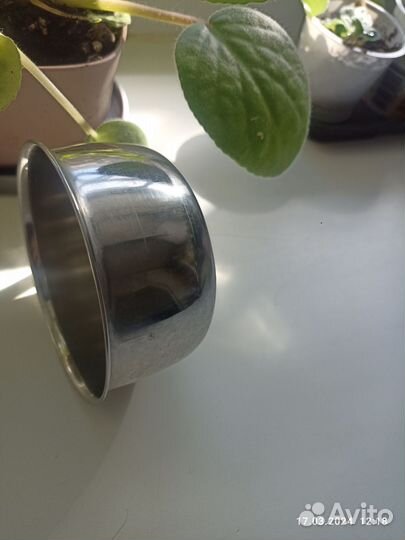 Миски для кошек и собак, грызунов