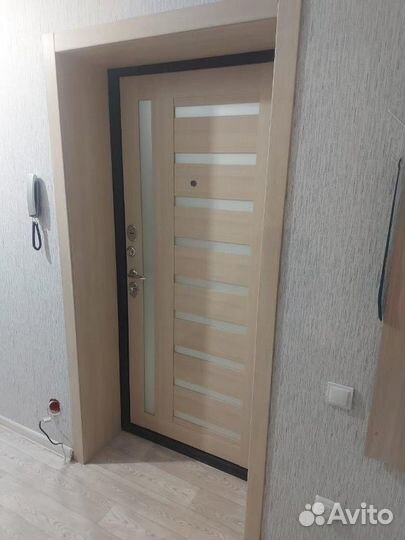 Входная дверь с откосами