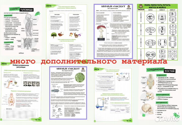 Репетитор по биологии ОГЭ/ЕГЭ