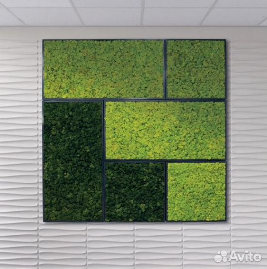 Панно из мха 70 см