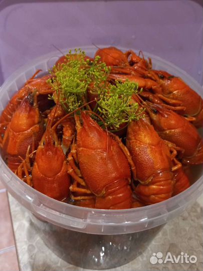 Живые и вареные раки