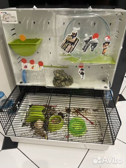 Хомяк с клеткой