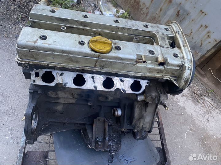 Двигатель x20xev