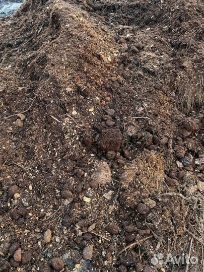 Чернозем, перегной