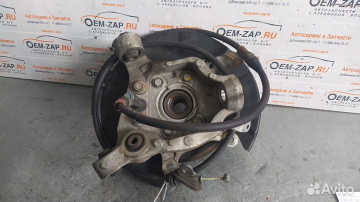 Поворотный кулак задний цапфа ступица Мурано 51