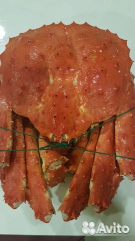 Раки. Крабы. Икра. Креветки. Лангустины