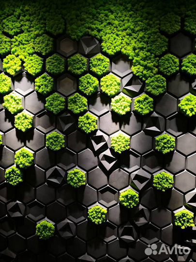 Гипсовые панели со стабилизированным мхом