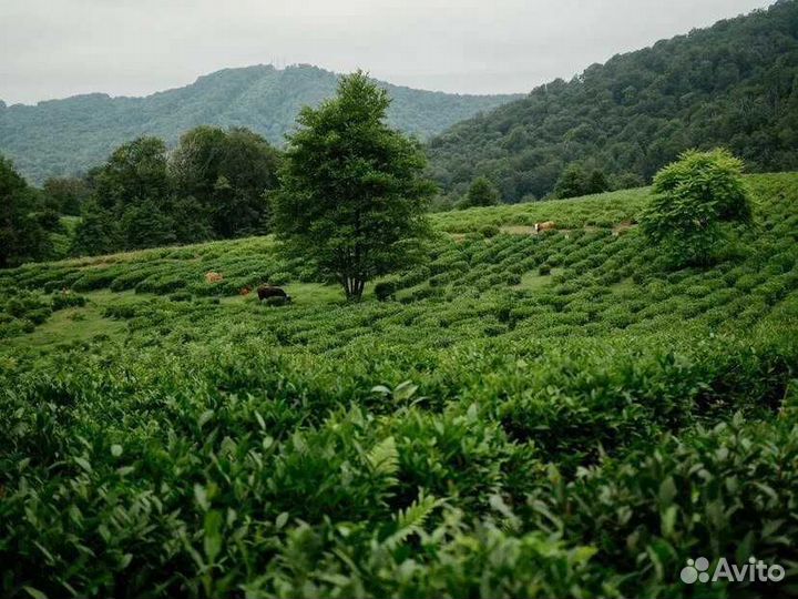 Экскурсия в Эко-парк 