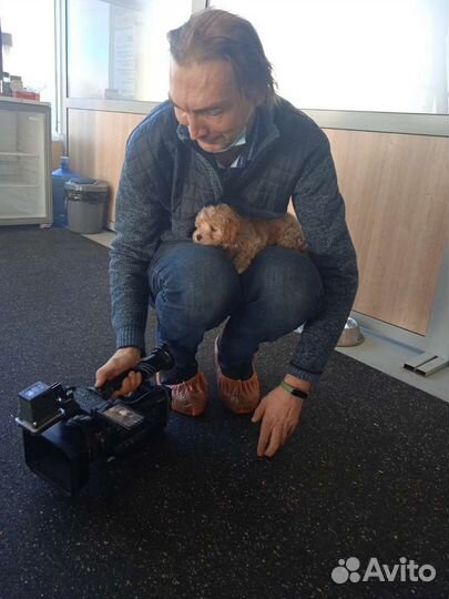 Оператор видеосъемка