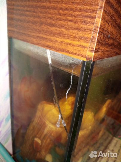 Аквариум и все для него