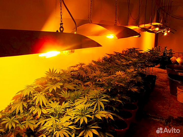 Днат комплекты 250 и 400 ватт для растений