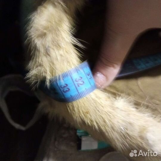 Женские меховые шапки