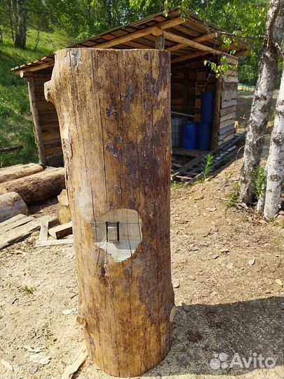 Колода для пчел