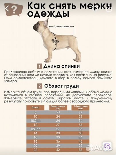 Велюровый костюм ForMyDogs