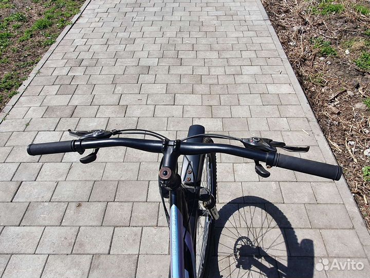 Forward raptor 2.0 disc