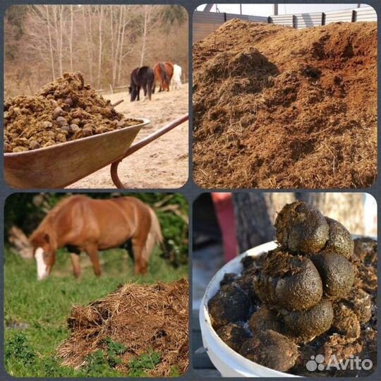 Конский навоз, перегной в мешках