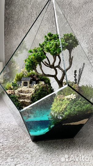 Моссариум подарки цветы