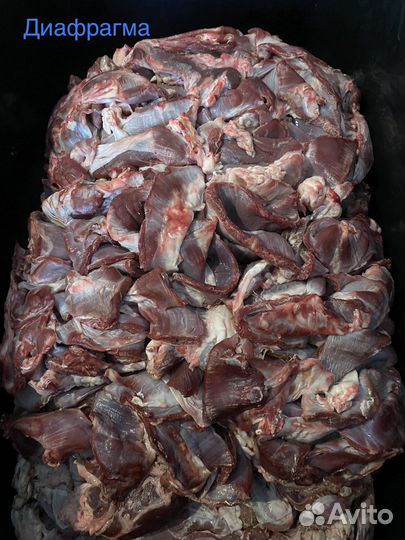 Мясо корм для собак. Корм для животных