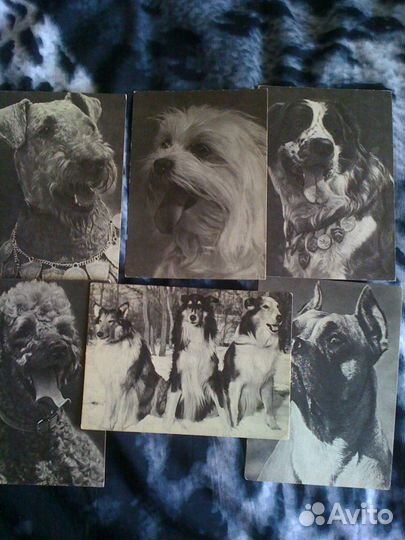 Открытки разной тематики 1890-1970-х гг