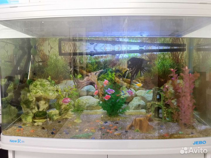 Аквариум