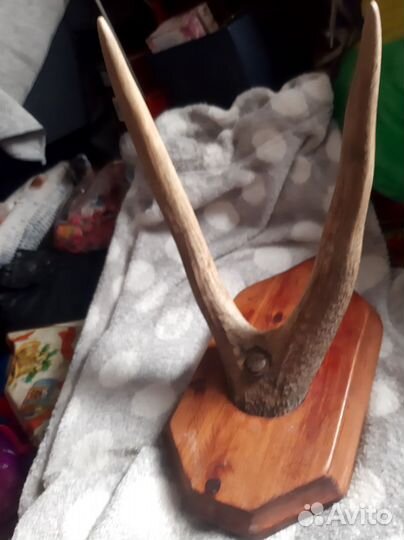 Подставка рога оленя винтаж