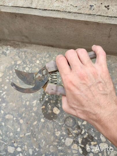 Секатор садовый бу