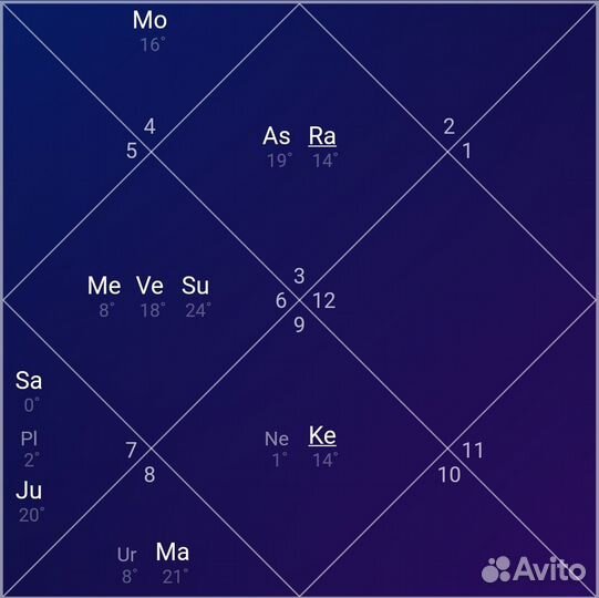 Ведический астролог (Джйотиш)