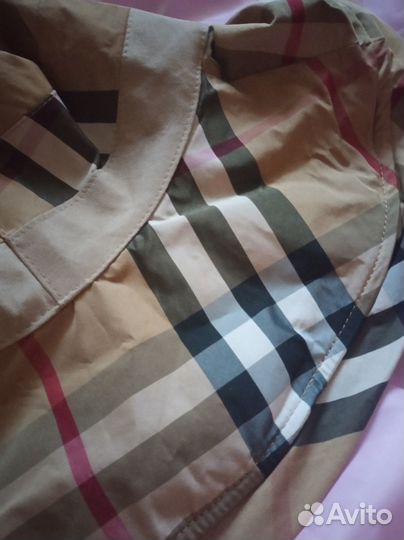 Панама осенняя